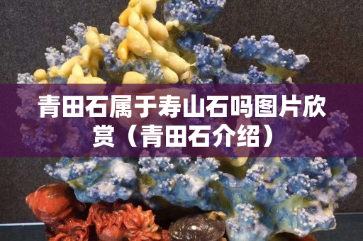 青田石屬于壽山石嗎圖片欣賞（青田石介紹）