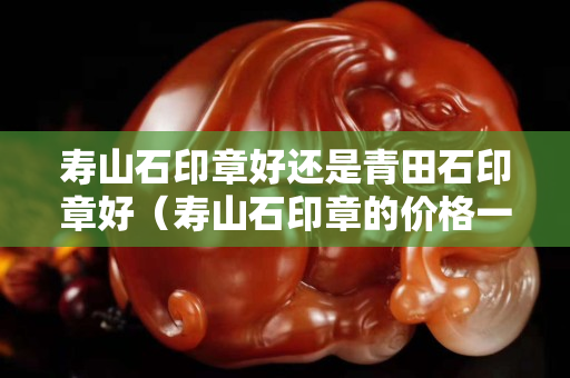 壽山石印章好還是青田石印章好（壽山石印章的價格一般多少錢）