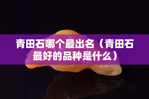 青田石哪個(gè)最出名（青田石最好的品種是什么）