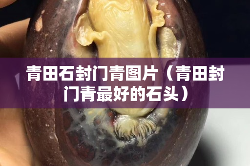 青田石封門青圖片（青田封門青最好的石頭）