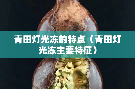 青田燈光凍的特點（青田燈光凍主要特征）