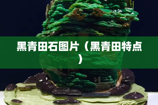 黑青田石圖片（黑青田特點）