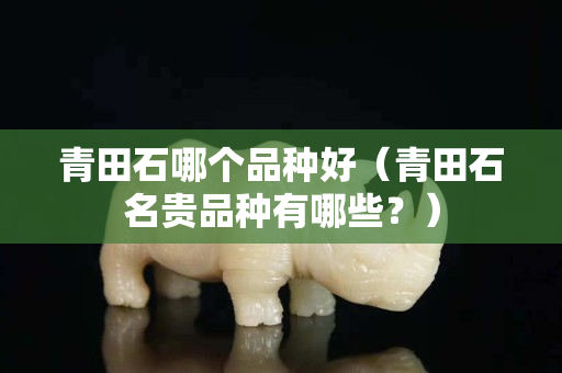 青田石哪個品種好（青田石名貴品種有哪些？）