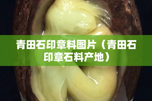 青田石印章料圖片（青田石印章石料產地）