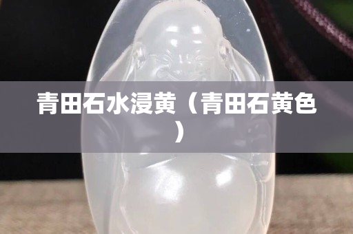 青田石水浸黃（青田石黃色）