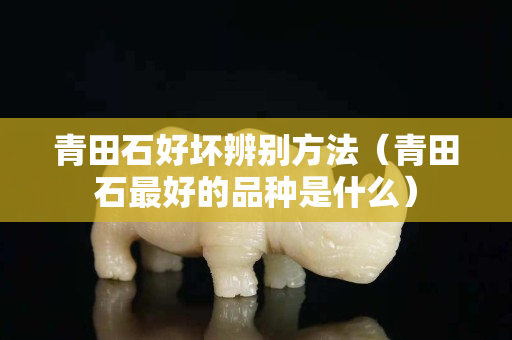 青田石好壞辨別方法（青田石最好的品種是什么）