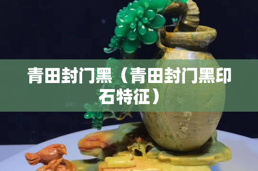 青田封門黑（青田封門黑印石特征）