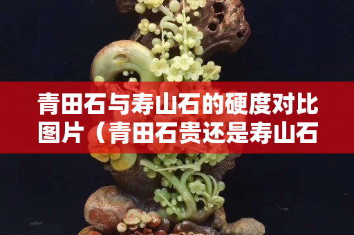 青田石與壽山石的硬度對比圖片（青田石貴還是壽山石貴）