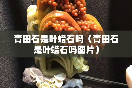 青田石是葉蠟石嗎（青田石是葉蠟石嗎圖片）