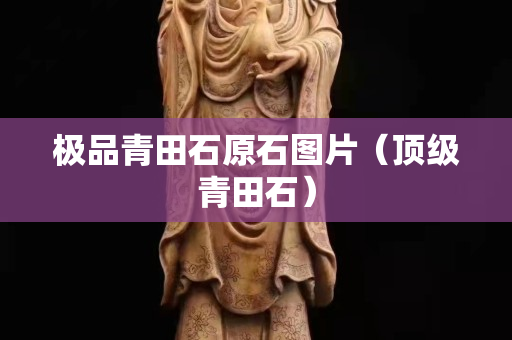 極品青田石原石圖片（頂級(jí)青田石）