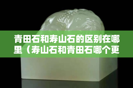 青田石和壽山石的區(qū)別在哪里（壽山石和青田石哪個(gè)更有收藏價(jià)值）
