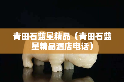 青田石藍(lán)星精品（青田石藍(lán)星精品酒店電話）