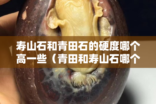 壽山石和青田石的硬度哪個高一些（青田和壽山石哪個做印章好）