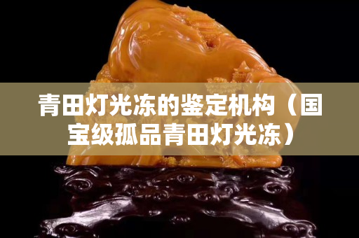 青田燈光凍的鑒定機構（國寶級孤品青田燈光凍）