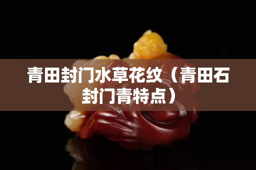青田封門水草花紋（青田石封門青特點）