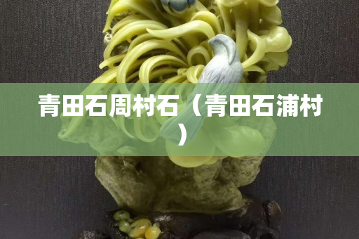 青田石周村石（青田石浦村）