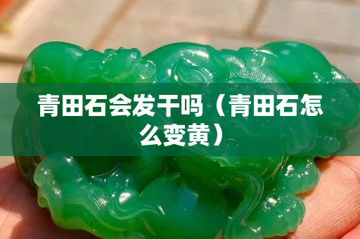 青田石會發(fā)干嗎（青田石怎么變黃）