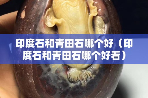 印度石和青田石哪個好（印度石和青田石哪個好看）
