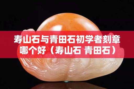 壽山石與青田石初學者刻章哪個好（壽山石 青田石）