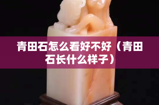 青田石怎么看好不好（青田石長什么樣子）