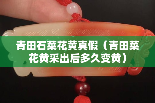 青田石菜花黃真假（青田菜花黃采出后多久變黃）
