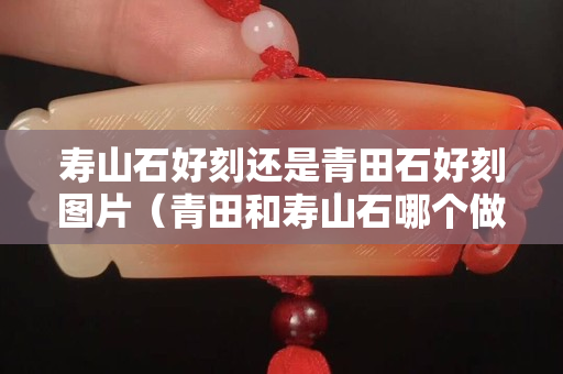 壽山石好刻還是青田石好刻圖片（青田和壽山石哪個做印章好）
