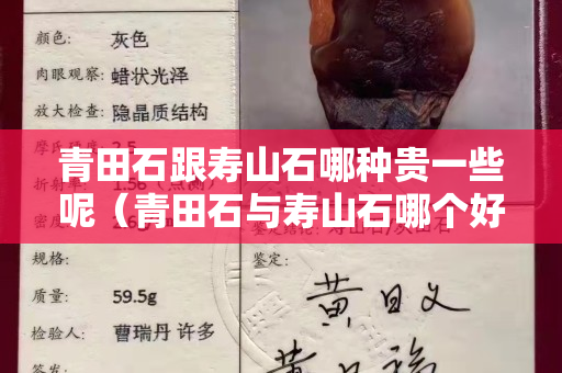 青田石跟壽山石哪種貴一些呢（青田石與壽山石哪個好）