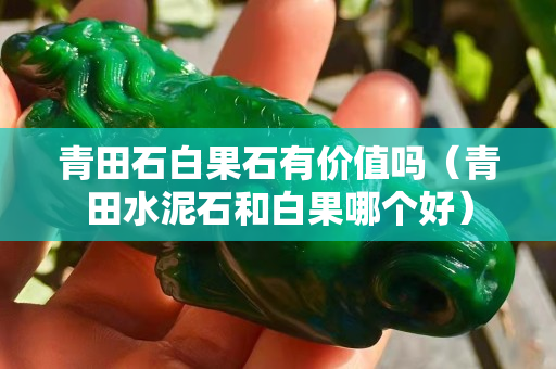 青田石白果石有價值嗎（青田水泥石和白果哪個好）