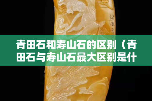 青田石和壽山石的區別（青田石與壽山石最大區別是什么）
