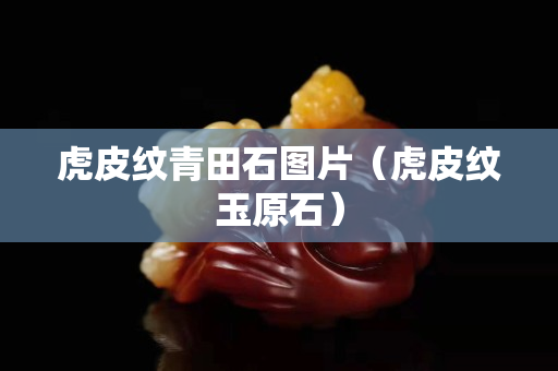 虎皮紋青田石圖片（虎皮紋玉原石）