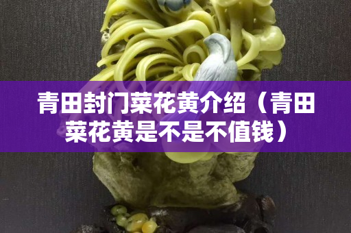 青田封門菜花黃介紹（青田菜花黃是不是不值錢）