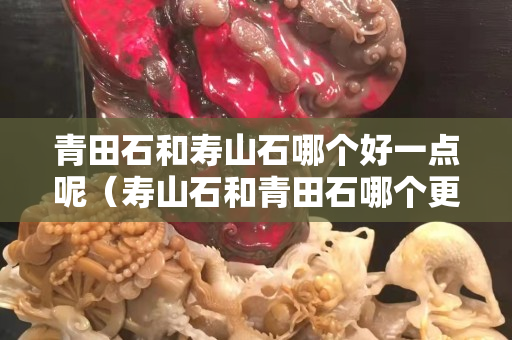 青田石和壽山石哪個好一點呢（壽山石和青田石哪個更有收藏價值）