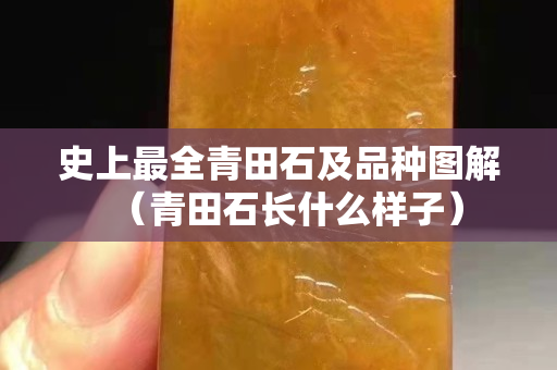 史上最全青田石及品種圖解（青田石長(zhǎng)什么樣子）