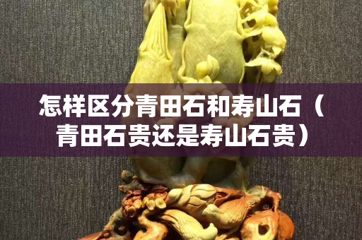 怎樣區分青田石和壽山石（青田石貴還是壽山石貴）