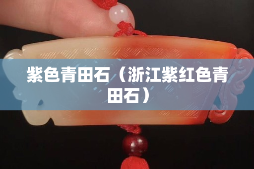 紫色青田石（浙江紫紅色青田石）
