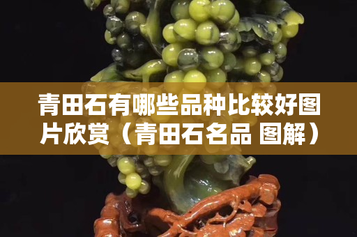 青田石有哪些品種比較好圖片欣賞（青田石名品 圖解）
