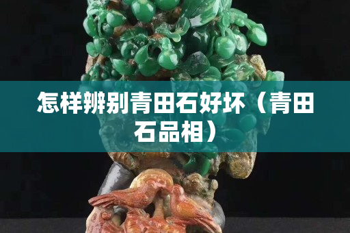 怎樣辨別青田石好壞（青田石品相）