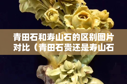 青田石和壽山石的區別圖片對比（青田石貴還是壽山石貴）