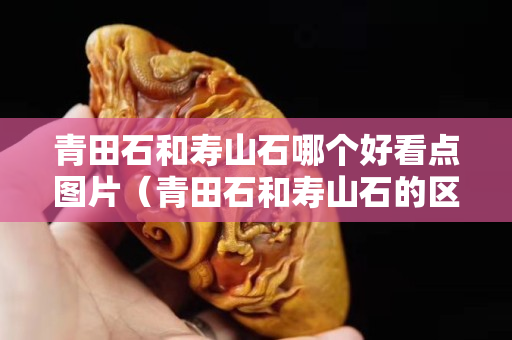 青田石和壽山石哪個好看點圖片（青田石和壽山石的區別）