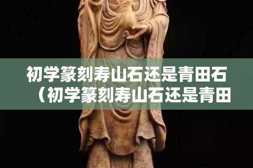 初學篆刻壽山石還是青田石（初學篆刻壽山石還是青田石好）
