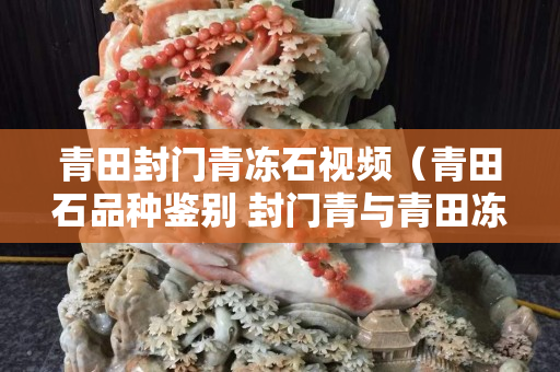 青田封門青凍石視頻（青田石品種鑒別 封門青與青田凍石）