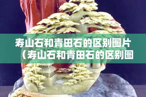 壽山石和青田石的區(qū)別圖片（壽山石和青田石的區(qū)別圖片大全）