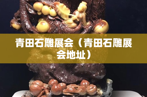青田石雕展會（青田石雕展會地址）