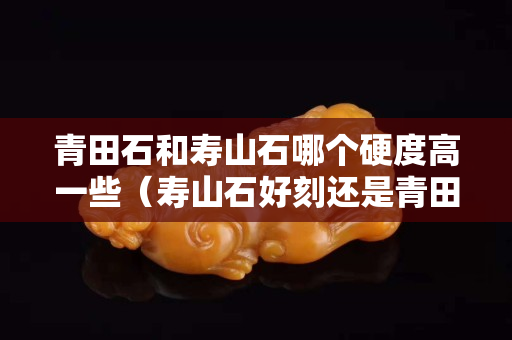青田石和壽山石哪個硬度高一些（壽山石好刻還是青田石好刻）