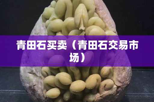 青田石買賣（青田石交易市場）