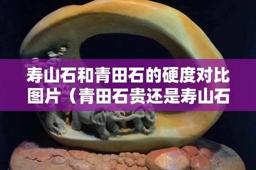壽山石和青田石的硬度對比圖片（青田石貴還是壽山石貴）