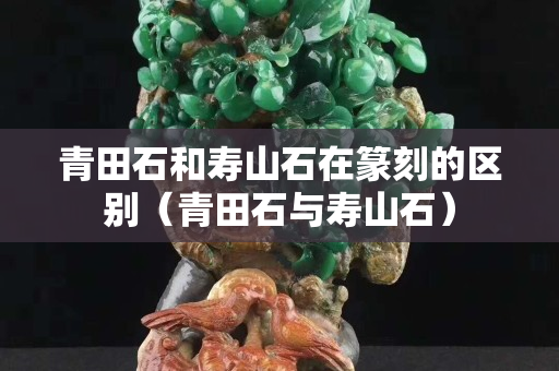 青田石和壽山石在篆刻的區(qū)別（青田石與壽山石）