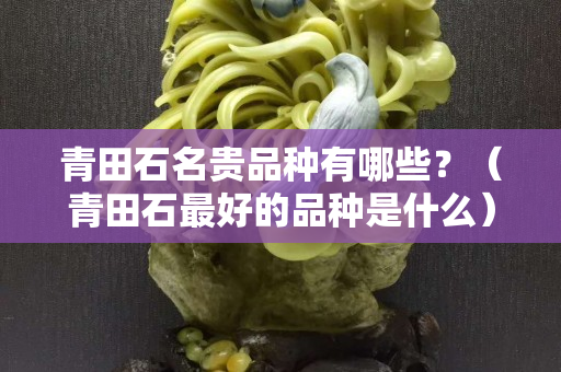 青田石名貴品種有哪些？（青田石最好的品種是什么）