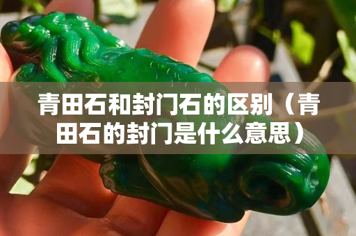 青田石和封門石的區別（青田石的封門是什么意思）