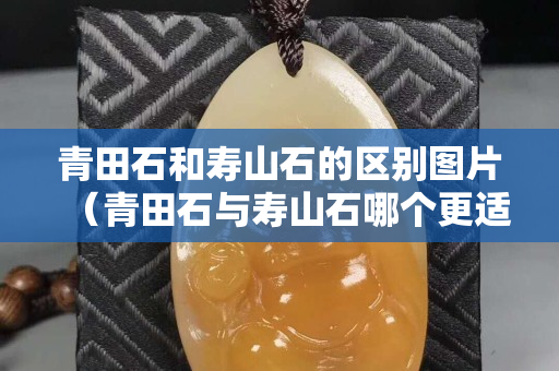 青田石和壽山石的區別圖片（青田石與壽山石哪個更適合刻印章）